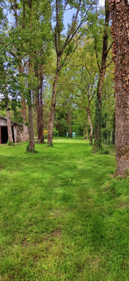 Le Gite De L'Ecurie Forges-la-Foret Buitenkant foto